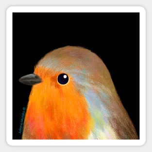 European Robin Bird Magnet